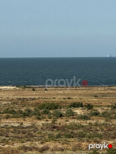 6 sot, Tikinti, Mülkiyyətçi, Kupça (Çıxarış) — Sumqayıt