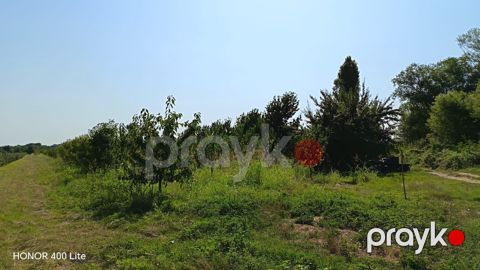 100 sot torpaq sahəsi, Xaçmaz r — Xaçmaz