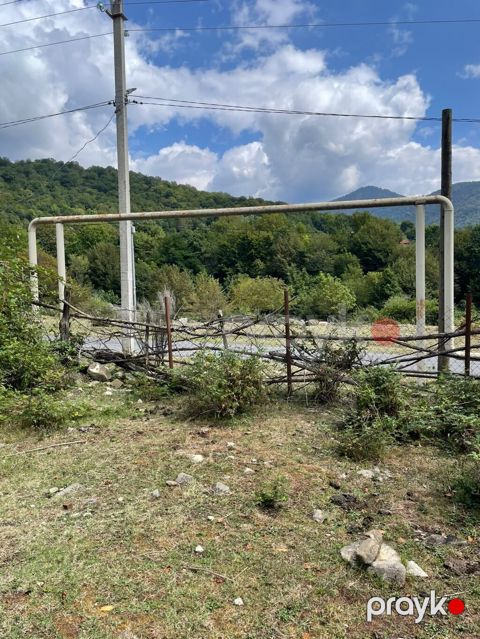 11 sot, Tikinti, Mülkiyyətçi, Kupça (Çıxarış) — Bakı