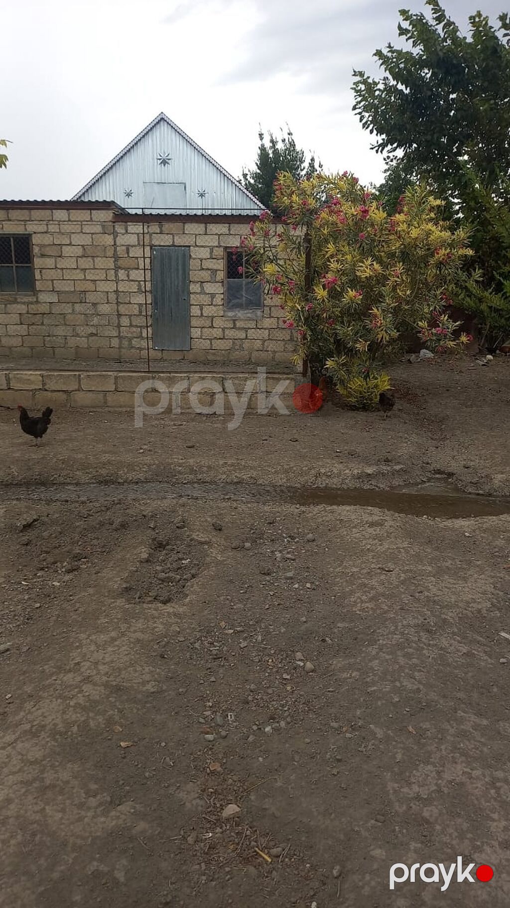 4 otaqlı, 120 kv. m, Təmirsiz — Ev, villa, Yevlax (7)