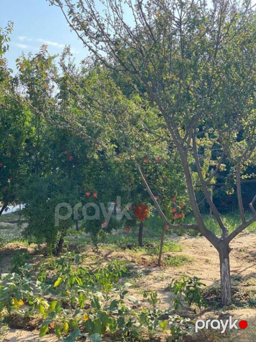 Satılır 4 otaqlı həyət evi/bağ evi 135 m² — Ev, villa, Bakı (11)
