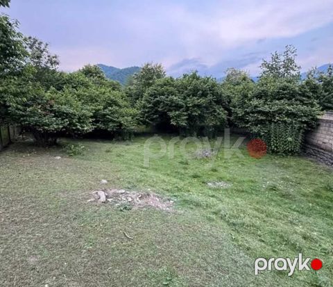 5.5 sot torpaq sahəsi, Zaqatala ş — Zaqatala