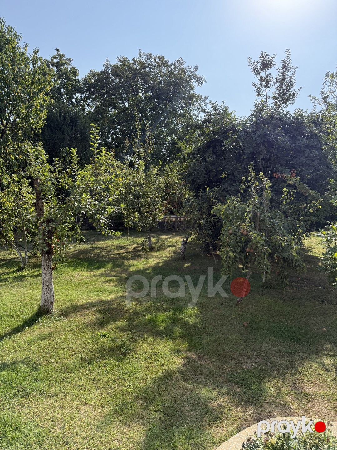 Satılır torpaq 8 sot — Torpaq, İsmayıllı (4)