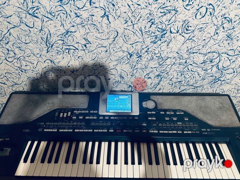 Sintezator, Korg, İşlənmiş, Ünvandan götürmə — Digah