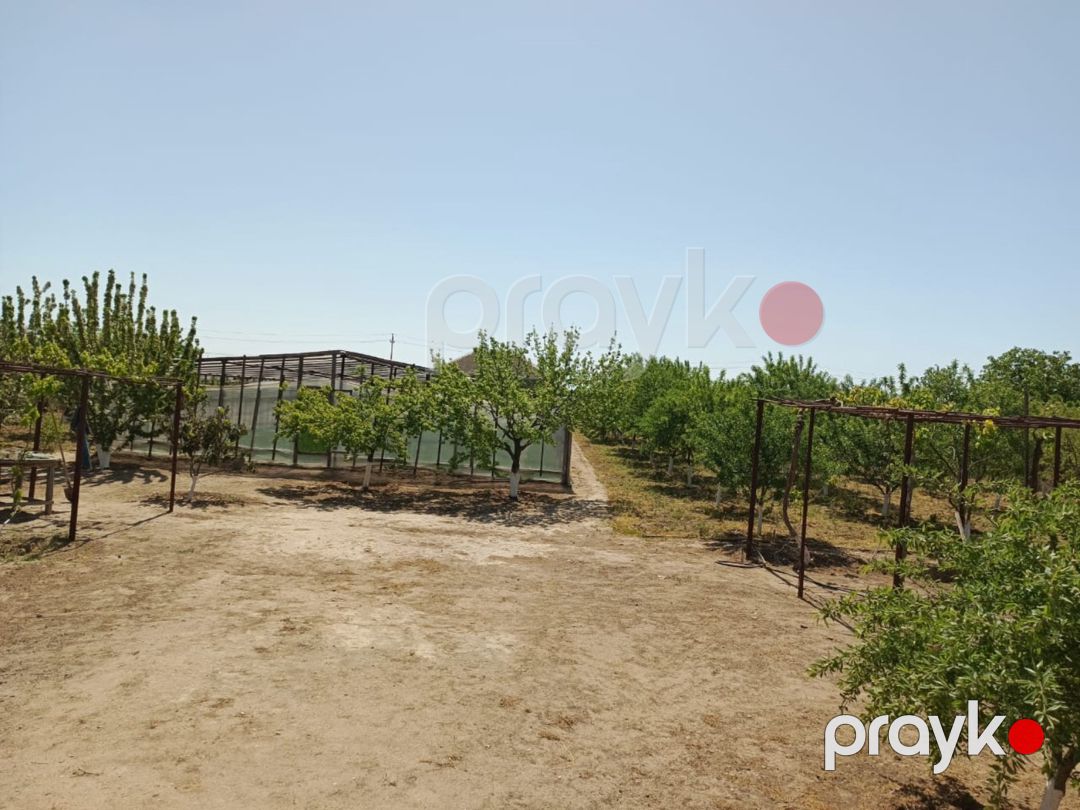 24 sot torpaq sahəsi, Maştağa qəs — Torpaq, Bakı (3)