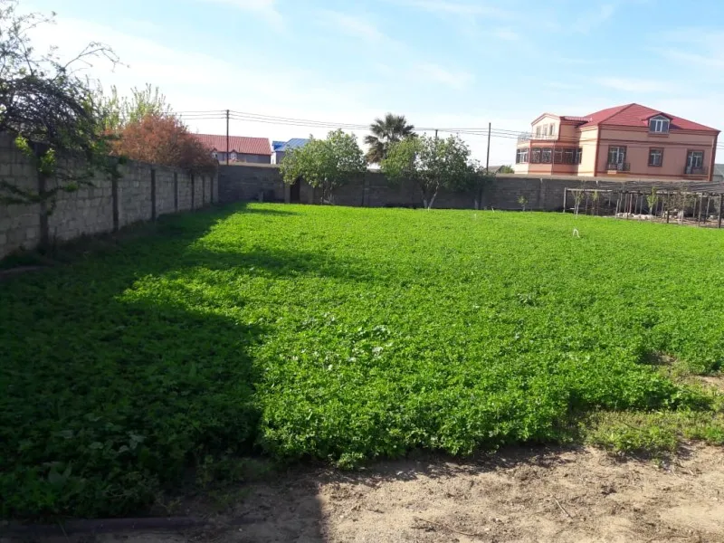 Mərdəkan, Torpaq satılır - 15 sot — Torpaq, Bakı (2)