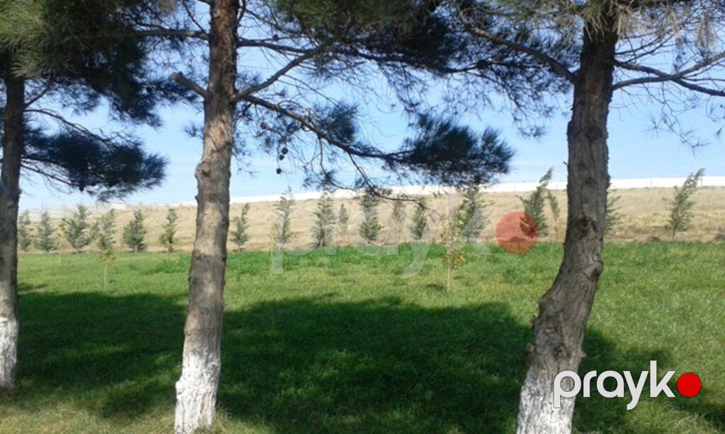 5 sot torpaq sahəsi, Xırdalan ş — Torpaq, Xırdalan (3)