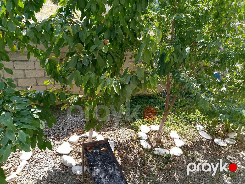 5 otaqlı, 20 kv. m, Kredit yoxdur, Yeni təmirli — Ev, villa, Quba (7)