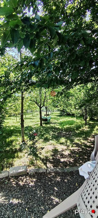 Həyət evi kirayə verilir, Quba r — Ev, villa, Quba (8)