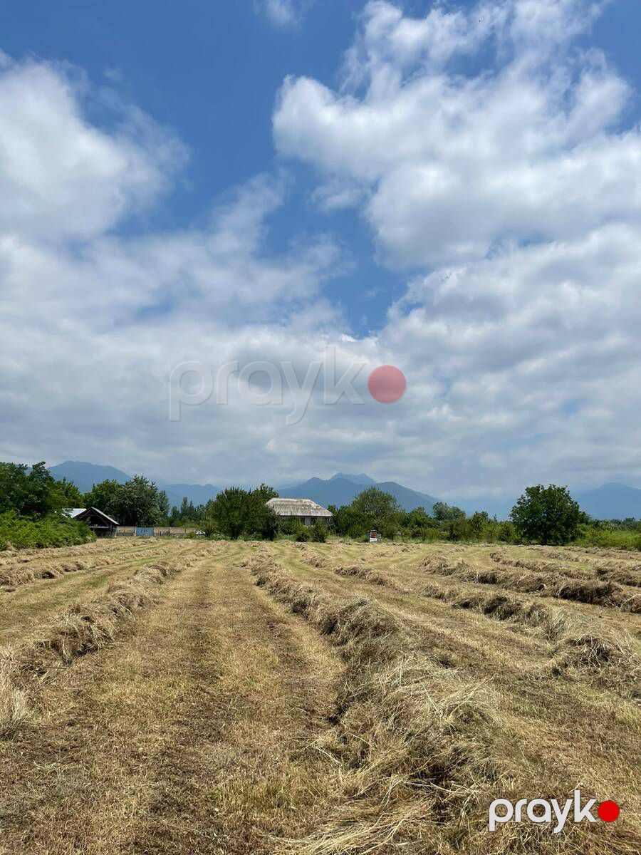Satılır torpaq 80 sot — Torpaq, Qəbələ (7)
