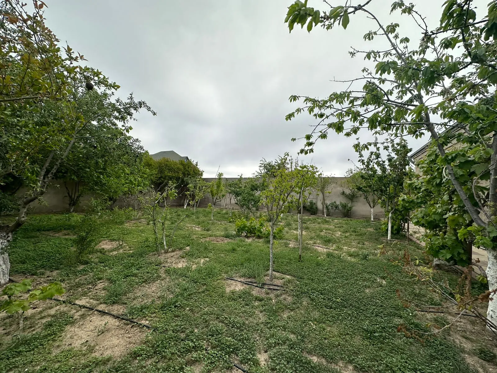 Şağan, Torpaq satılır - 7 sot — Torpaq, Bakı (6)
