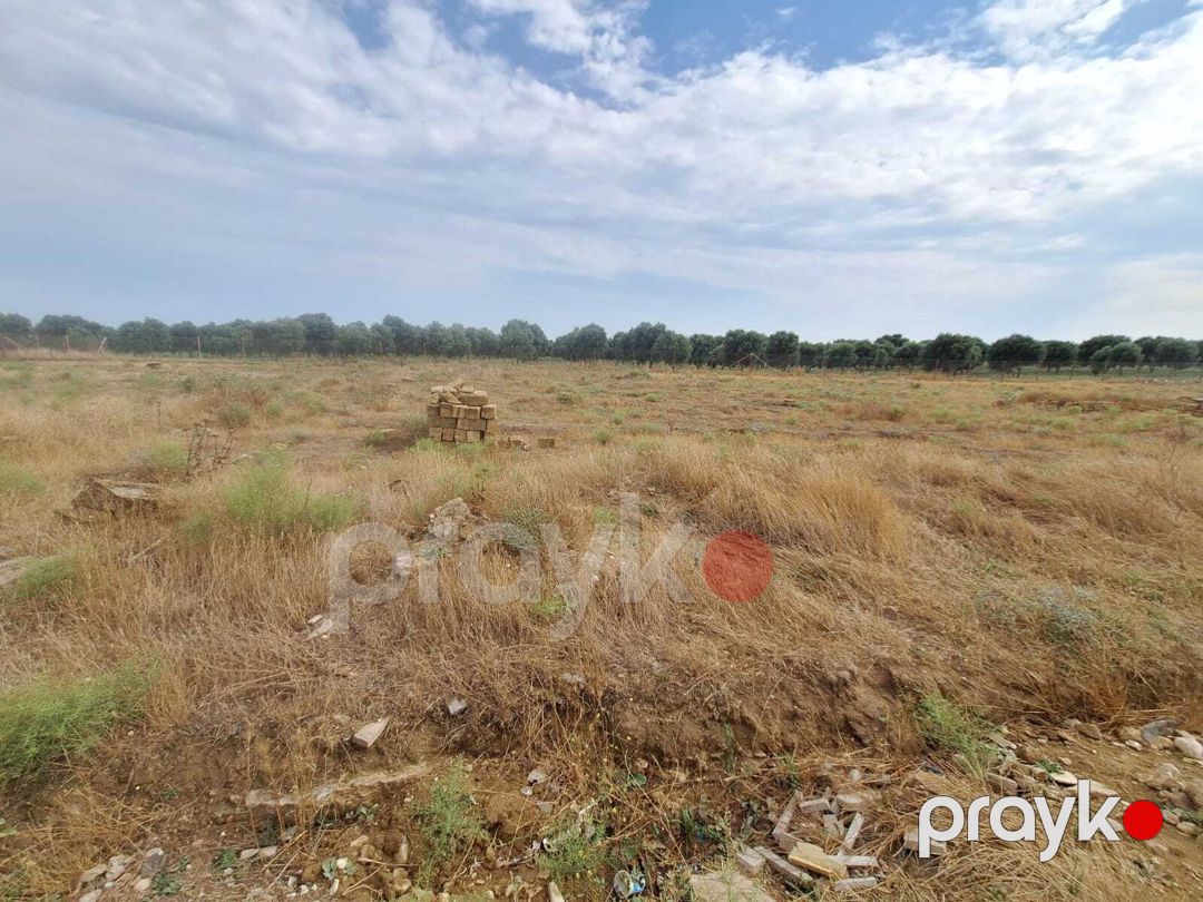 Satılır torpaq 16 sot — Torpaq, Bakı (5)