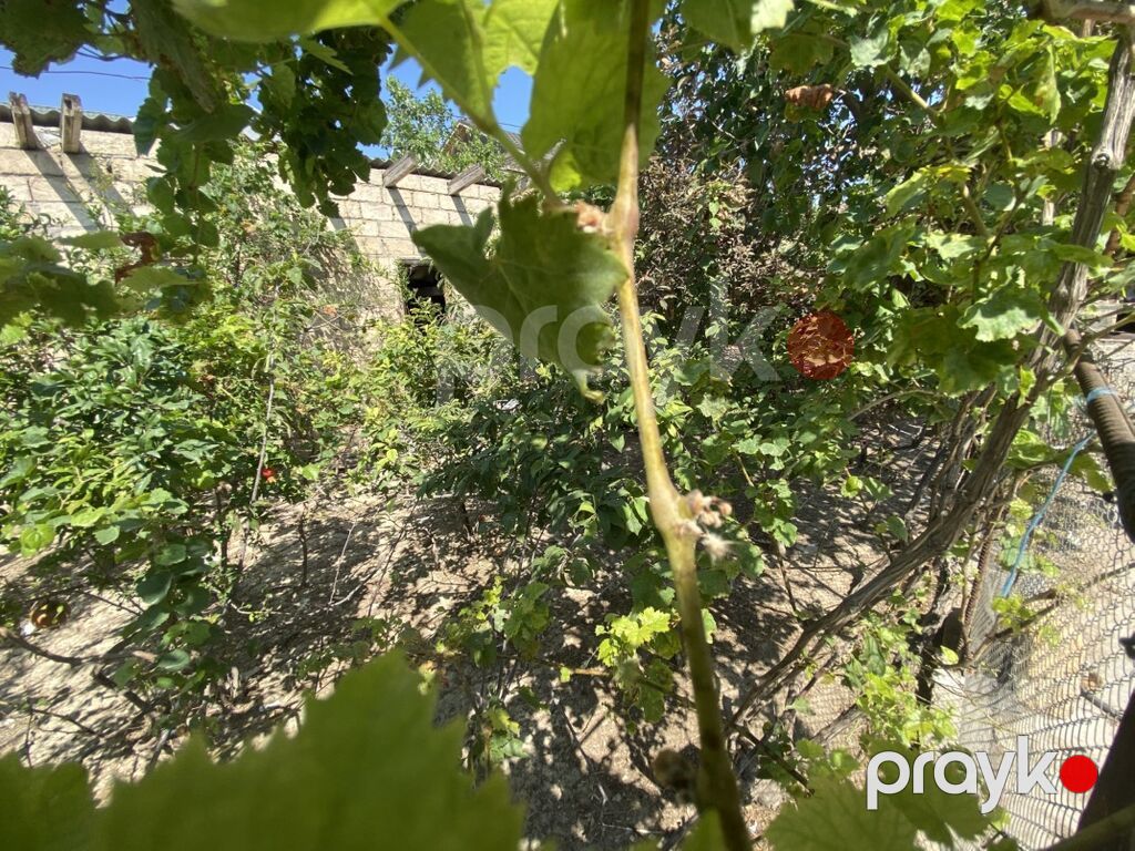 2 sot, Kupça (Çıxarış) — Torpaq, Masazır (2)