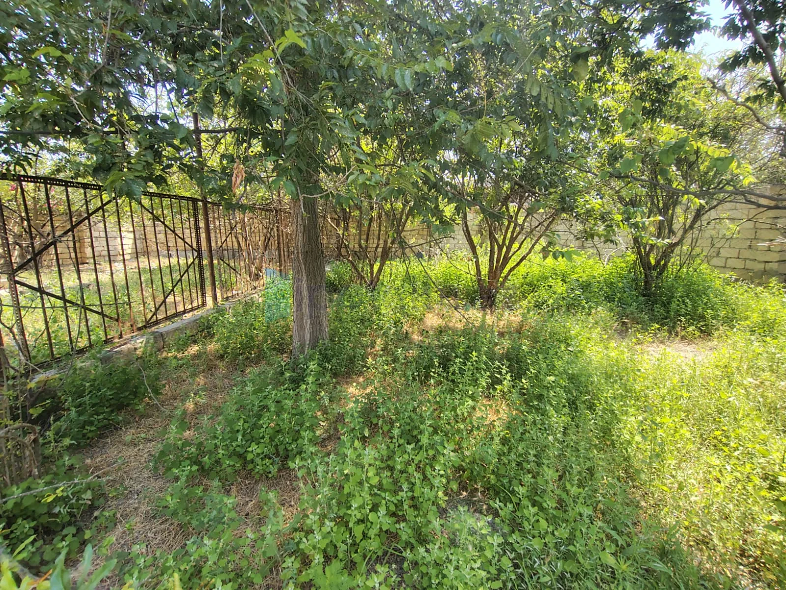 Satılır: 4 Otaq, Evlər/Villalar, Abşeron r., Novxanı q., 200.00 m² — Ev, villa, Novxanı (3)