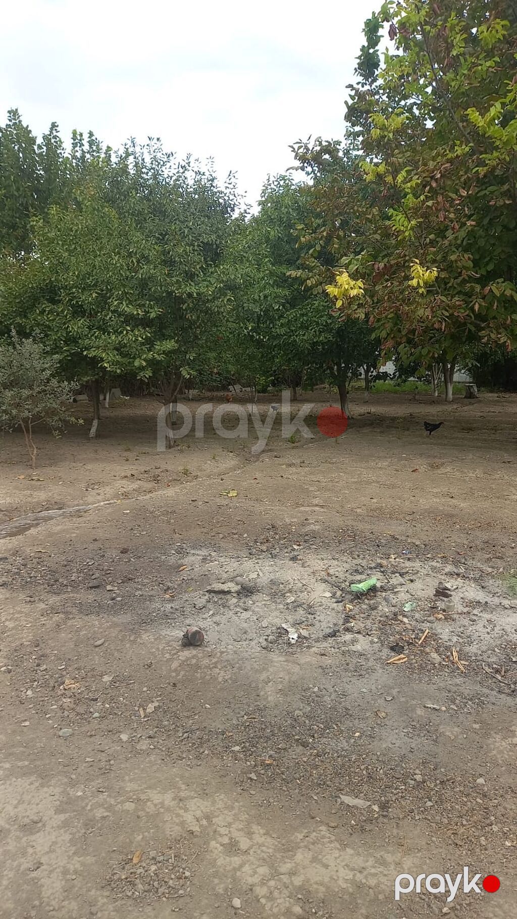 4 otaqlı, 120 kv. m, Təmirsiz — Ev, villa, Yevlax (6)