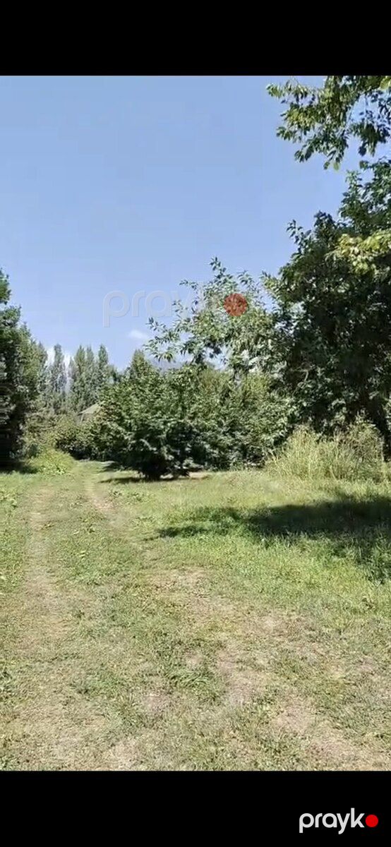 5 sot torpaq sahəsi, Qəbələ r — Torpaq, Qəbələ (3)