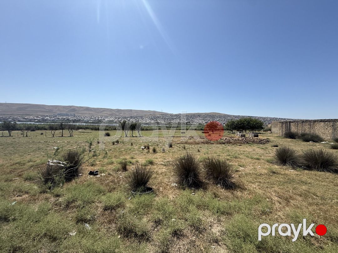Satılır torpaq 200 sot — Torpaq, Bakı (4)