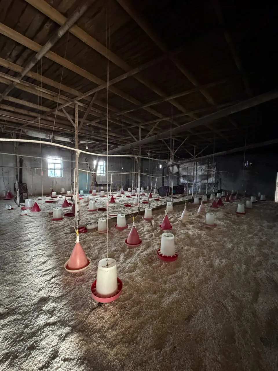Satılır: Torpaq, Xəzər r., Şüvəlan q., 13.50 m² — Torpaq (7)
