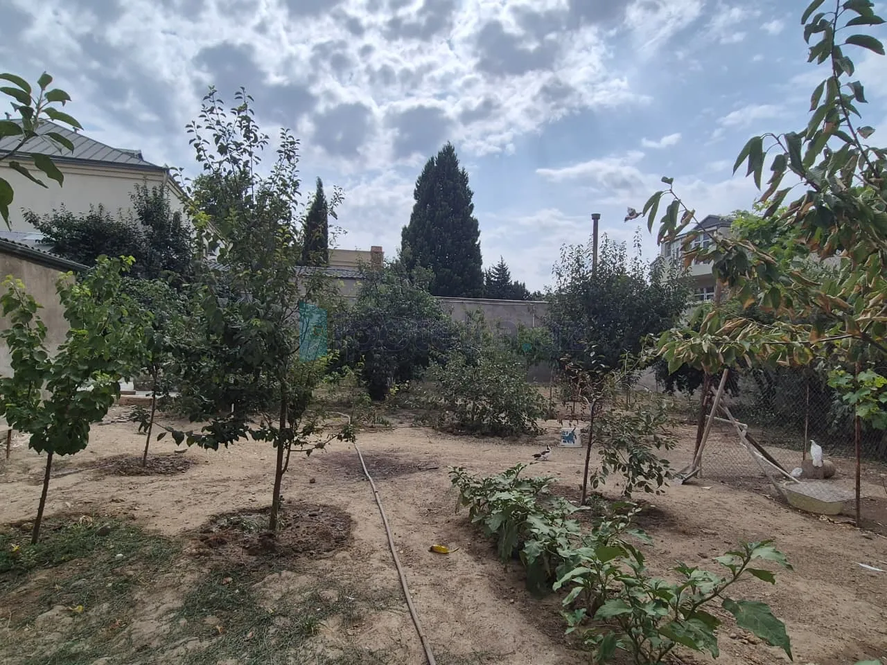Satılır: 7 Otaq, Evlər/Villalar, Nizami r., 8.50 sot — Ev, villa, Bakı (5)