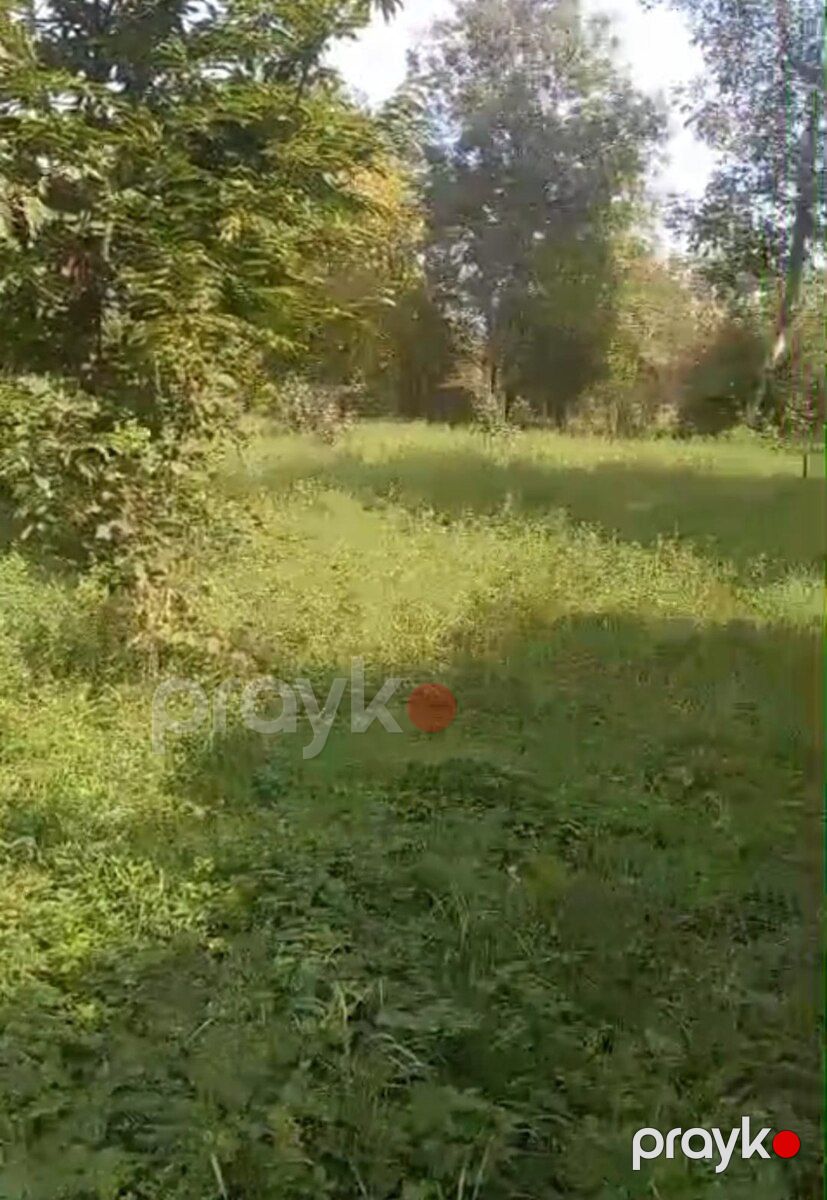 4 sot torpaq sahəsi, Nohurqışlaq k — Torpaq, Qəbələ (3)