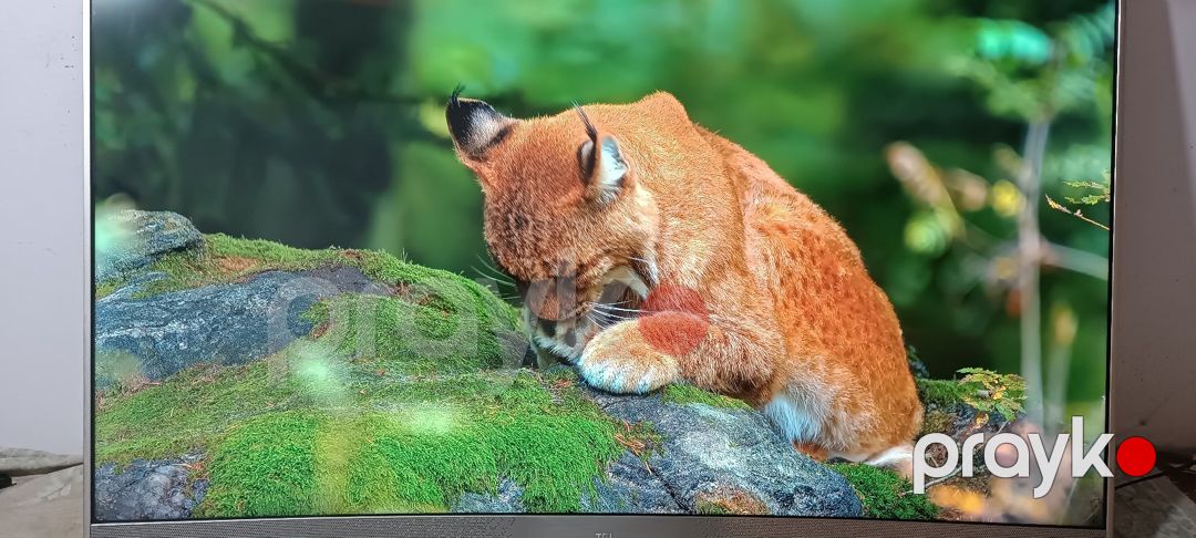 Televizor TCL — TV və Video, Bakı (2)