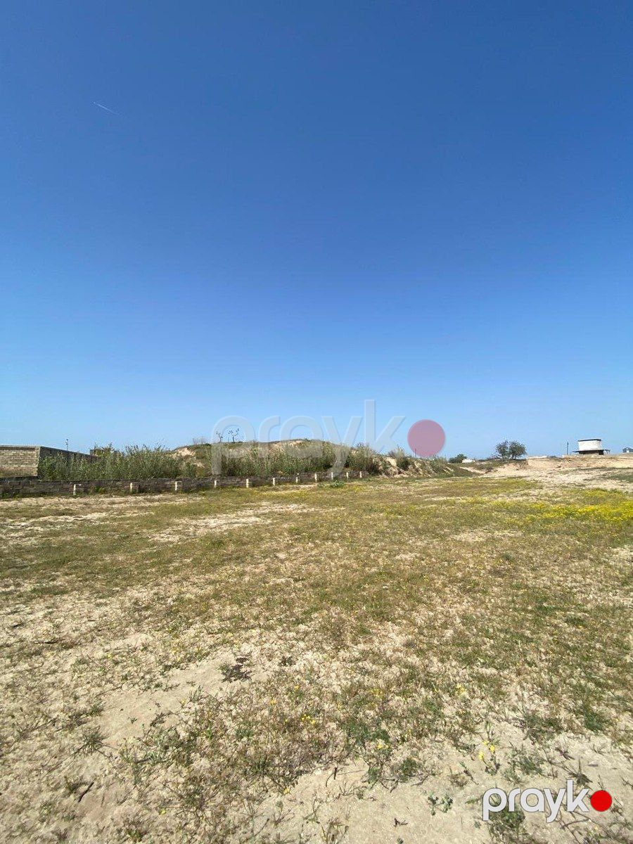 Satılır torpaq 6 sot — Torpaq, Bakı (2)