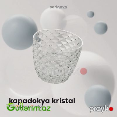 Şəffaf Dibçək — Bağ dekorasiyası, Bakı (3)