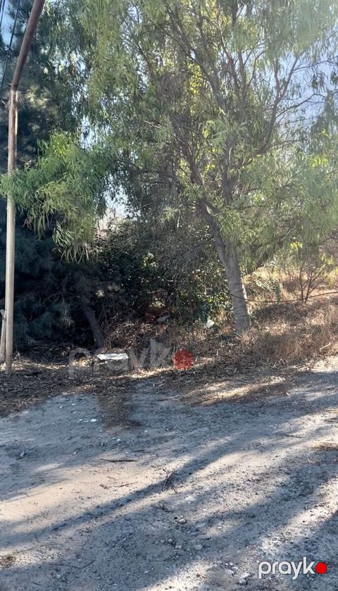 Satılır torpaq 7 sot — Bakı