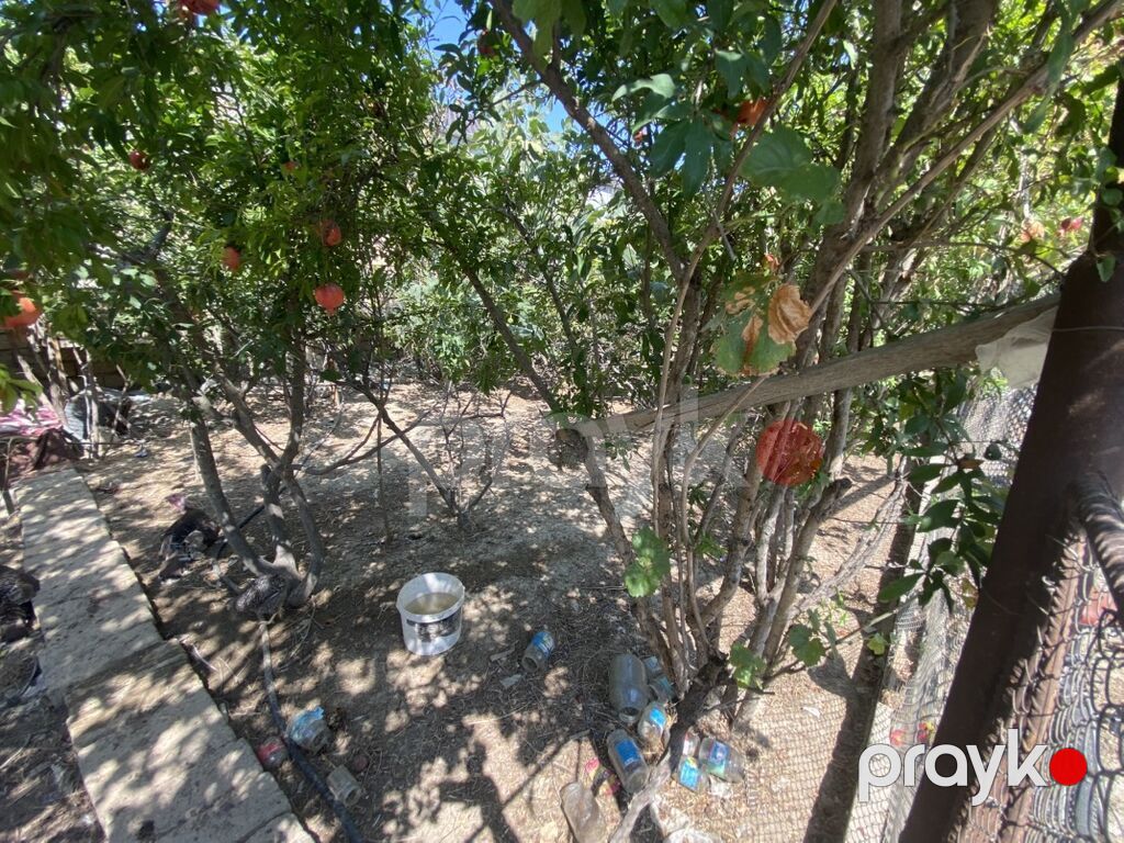 2 sot, Kupça (Çıxarış) — Torpaq, Masazır (5)