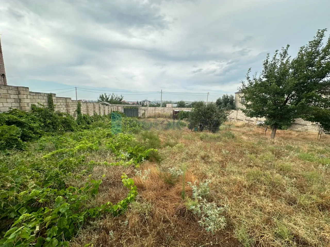 Satılır: Torpaq, Abşeron r., Saray q., 12.00 sot — Torpaq, Saray (8)