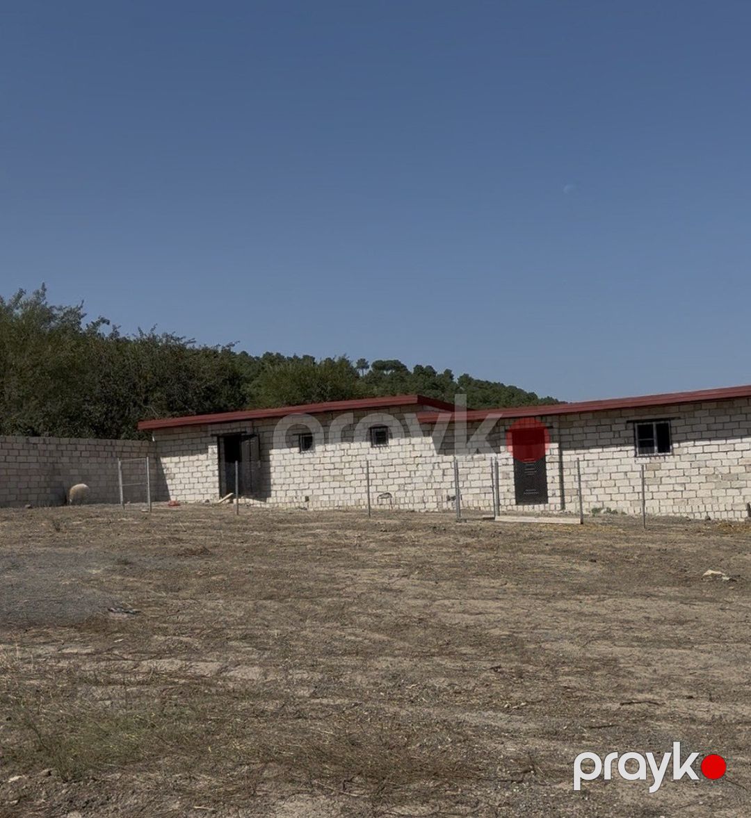 57 sot torpaq sahəsi, Şabran r — Torpaq, Şabran (9)