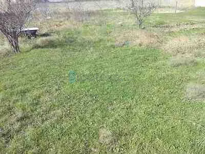 Satılır: Torpaq, Abşeron r., Masazır q., 20.00 sot — Torpaq, Saray (8)