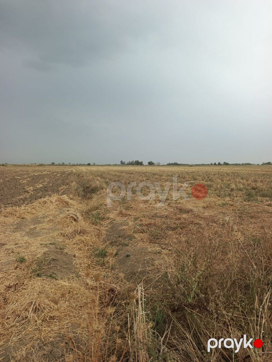 35 sot torpaq sahəsi, Yevlax ş — Torpaq, Yevlax (2)