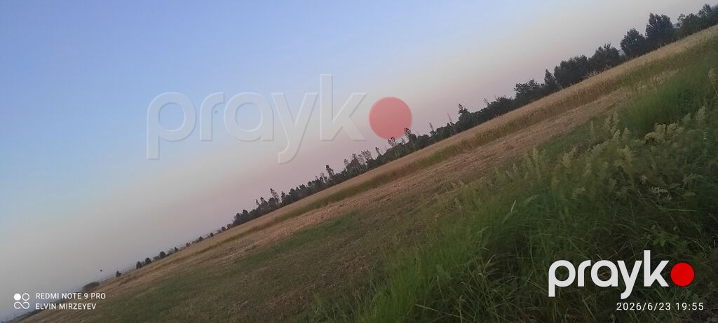 93 sot, Kənd təsərrüfatı, Mülkiyyətçi, Kupça (Çıxarış) — Torpaq, Quba (2)