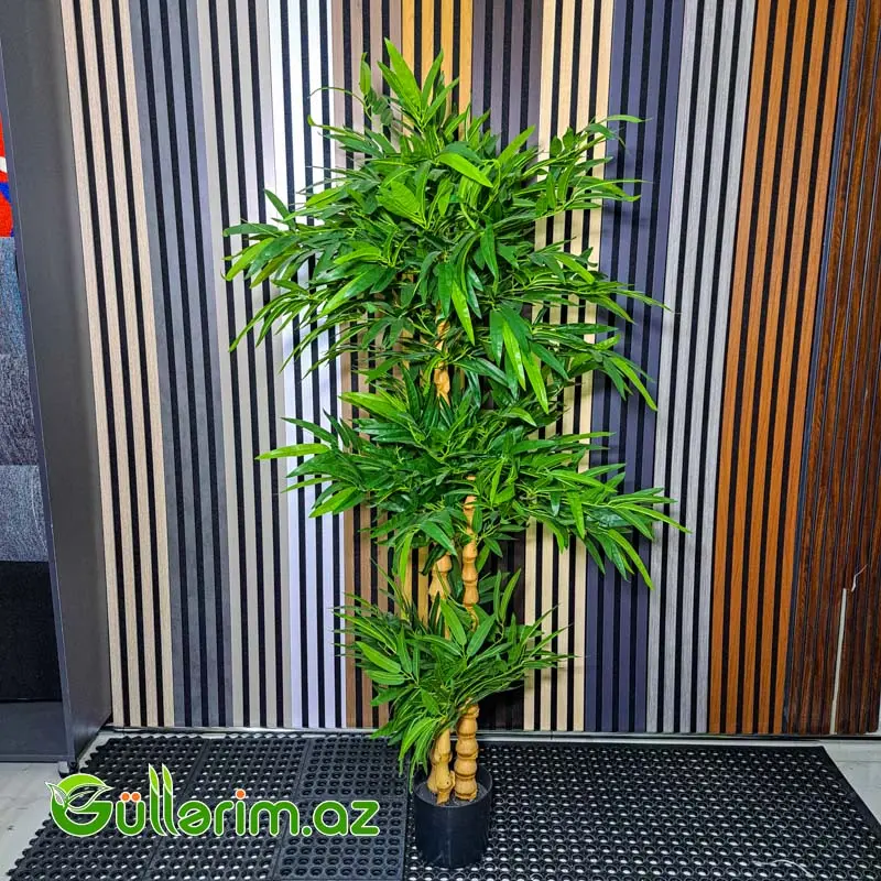 Bambuk Bitkisi (Artificial Bamboo Plant) — Bakı
