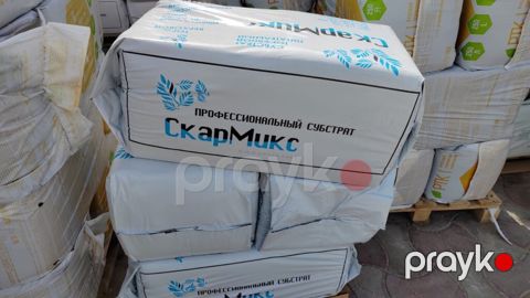 Peyin, torf, torpaq — Bakı