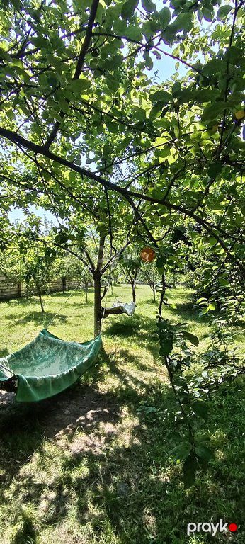Həyət evi kirayə verilir, Quba r — Ev, villa, Quba (12)
