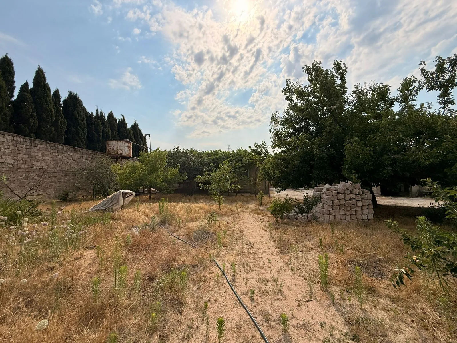 Şüvəlan, Torpaq satılır - 12.5 sot — Torpaq, Bakı (7)