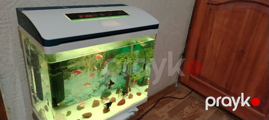 Ağıllı LED işıqlı akvarium seti - Müasir dizaynlı qapaq və toxunma — Akvariumlar və balıqlar, Sumqayıt (4)