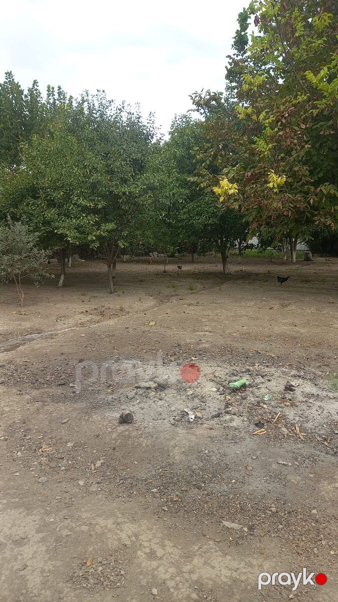 Həyət evi, Yevlax r — Ev, villa, Yevlax (9)