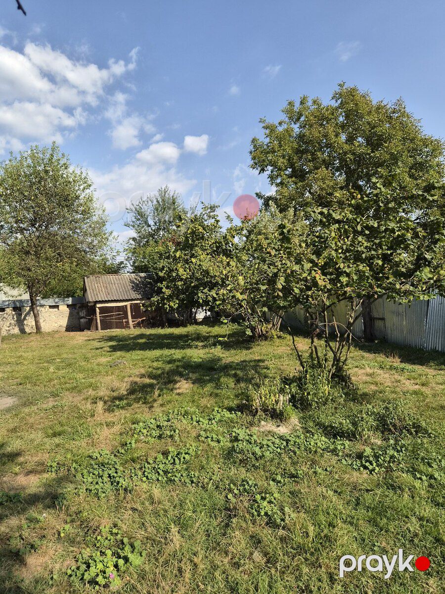 45 sot torpaq sahəsi, Qəbələ r — Torpaq, Qəbələ (12)