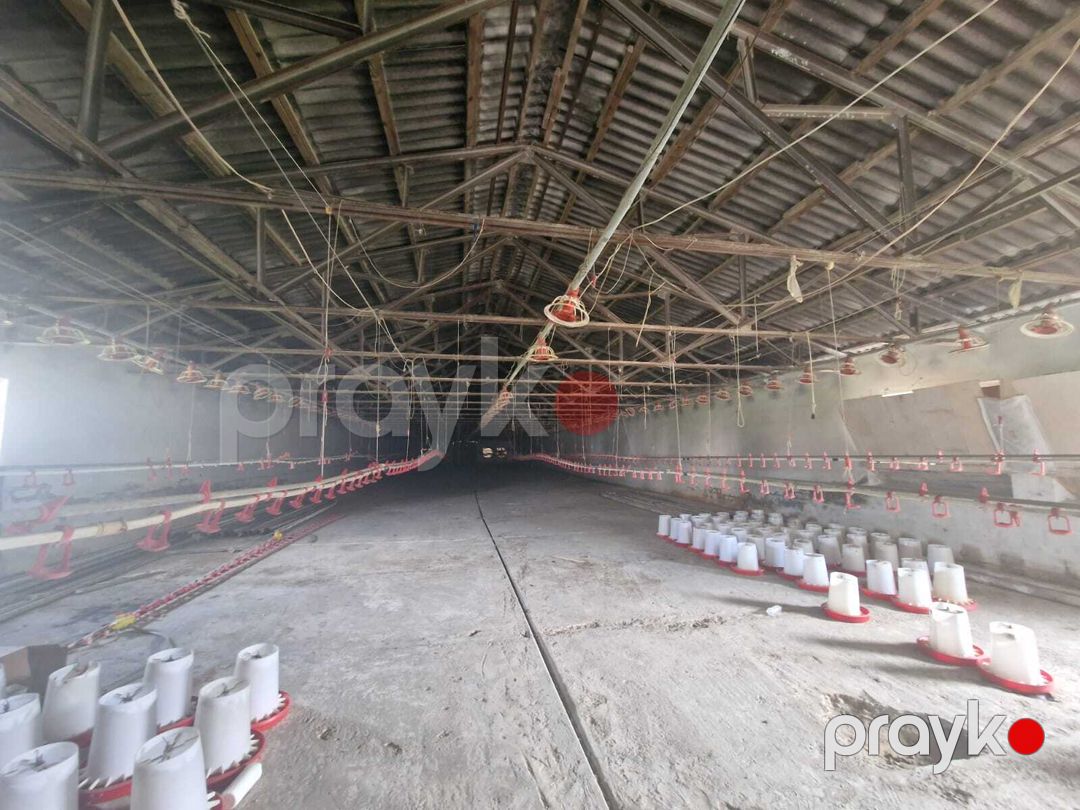 İcarəyə verilir obyekt 780 m² — Əmlak, Bakı (3)