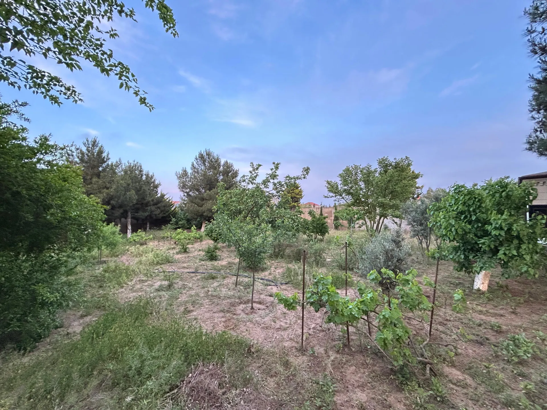 Mərdəkan, 7 otaqlı Həyət evi satılır - 500 m², 2 mərtəbə, 37 sot — Ev, villa, Bakı (9)