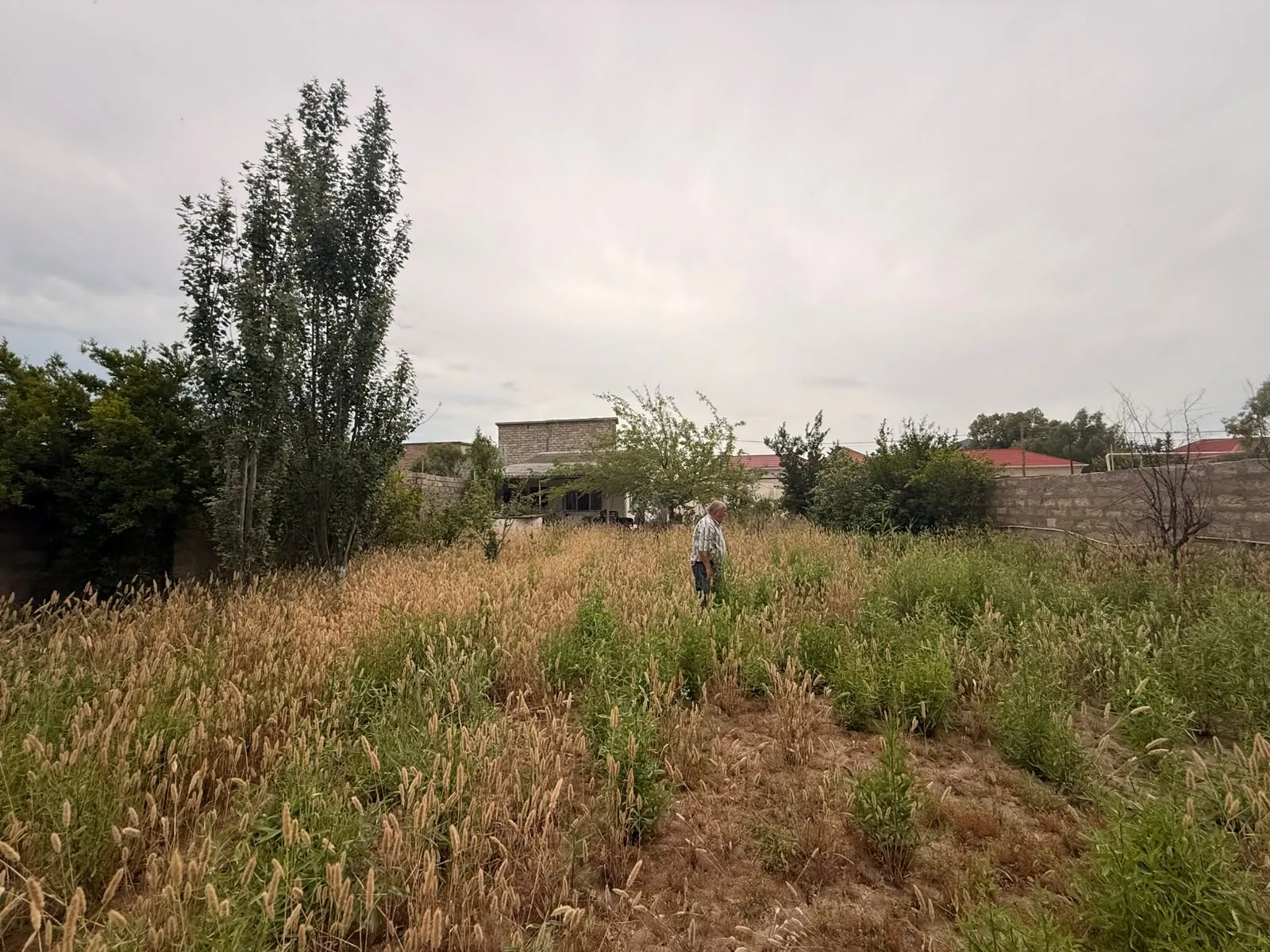 Buzovna, Torpaq satılır - 7 sot — Torpaq, Bakı (3)