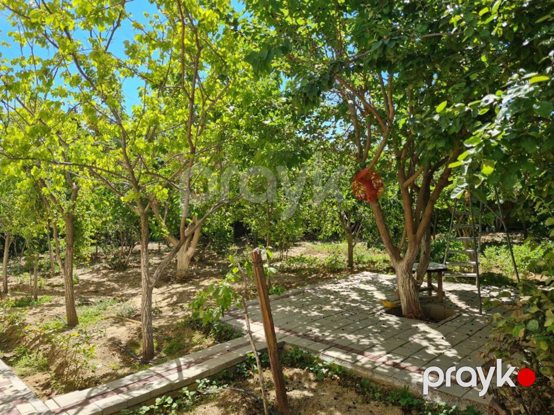 Satılır 6 otaqlı həyət evi/bağ evi 250 m² — Ev, villa, Bakı (5)
