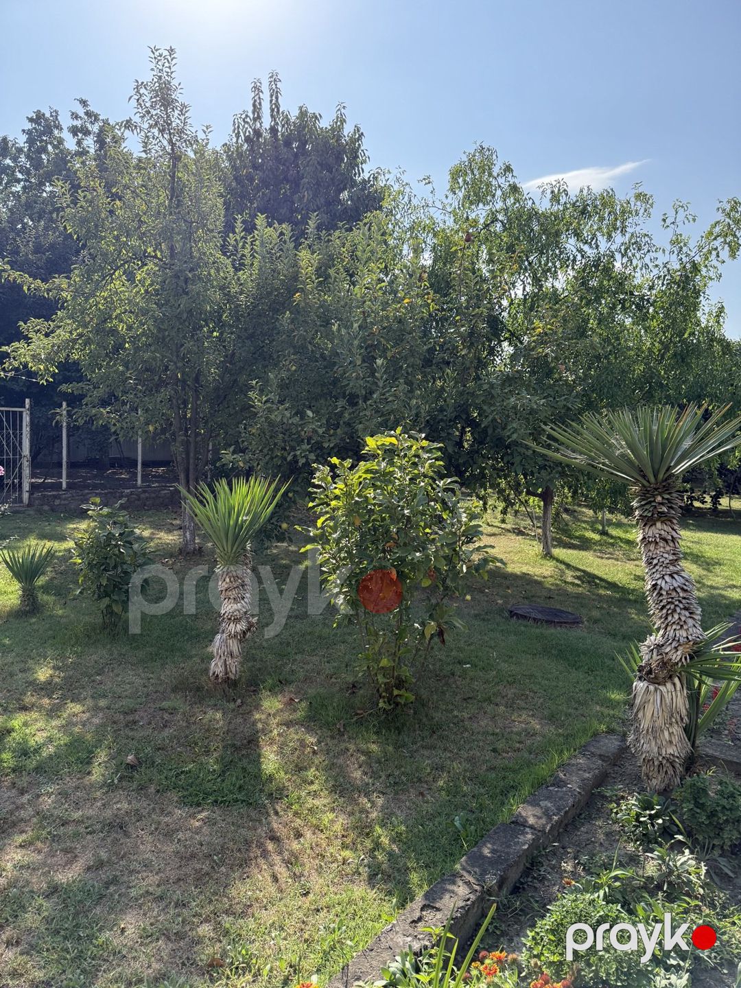 Satılır torpaq 8 sot — Torpaq, İsmayıllı (10)