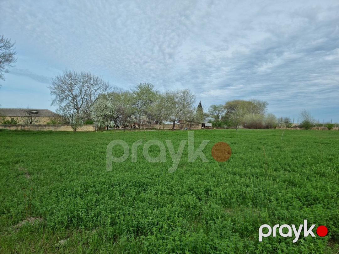 30 sot torpaq sahəsi, Şabran r — Torpaq, Şabran (10)