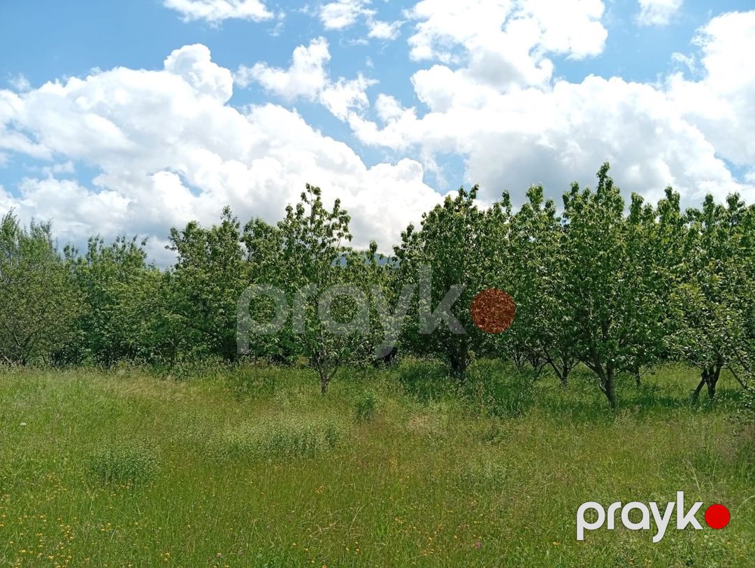 15 sot torpaq sahəsi, Quba r — Torpaq, Quba (4)