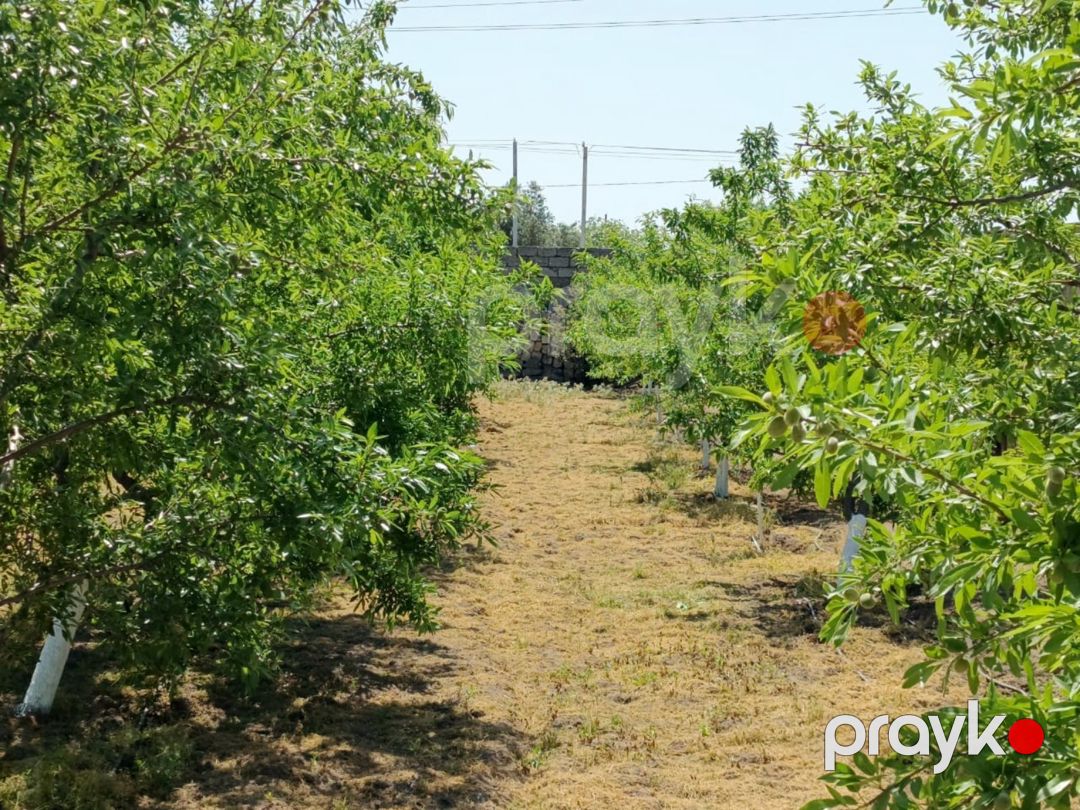 24 sot torpaq sahəsi, Maştağa qəs — Torpaq, Bakı (2)