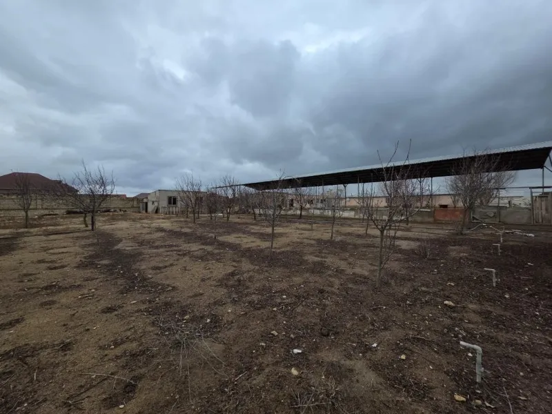 Qala, Torpaq satılır - 12 sot — Torpaq, Bakı (3)